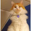 Tuxedo Rental and Formal Wear in Pittsfield suit rental, formal suit rental, tux rental, tux hire Business Tux Express